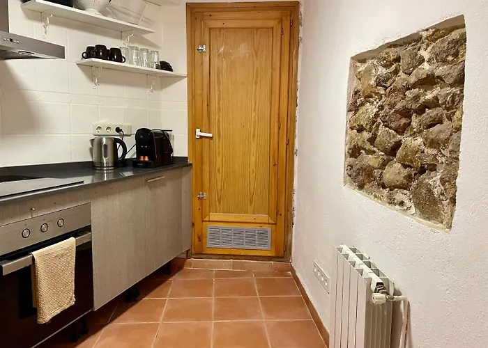 Duplex Historico En Part Alta Daire